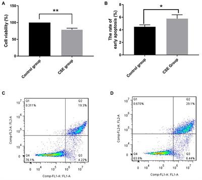 The Role of Ferroptosis in Bronchoalveolar Epithelial Cell Injury Induced by Cigarette Smoke Extract